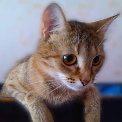 Photo #6172444