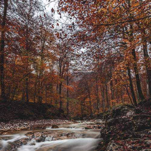 Photo #6172550