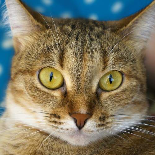 Photo #6173147