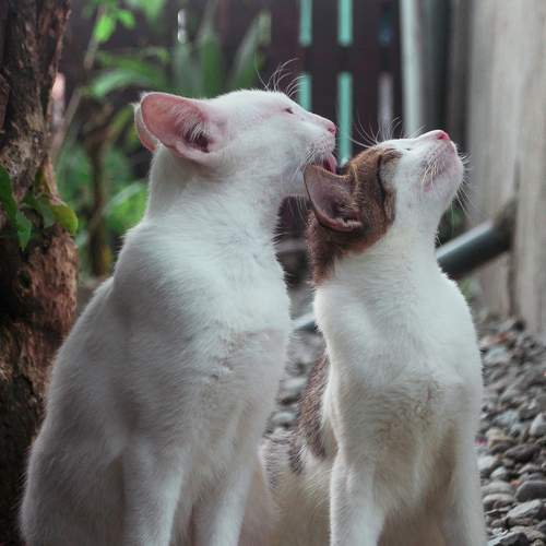 Photo #6173378