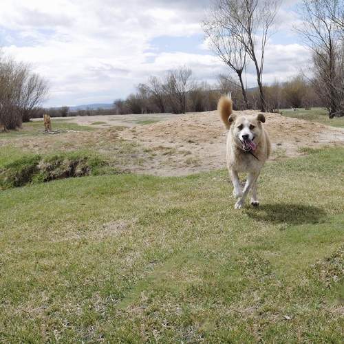 Photo #6173380