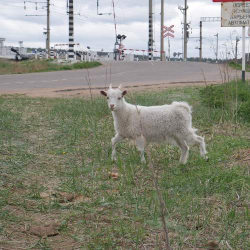 Photo #6173381