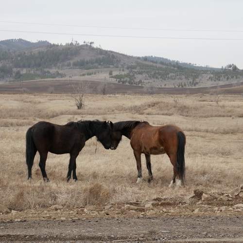 Photo #6173382