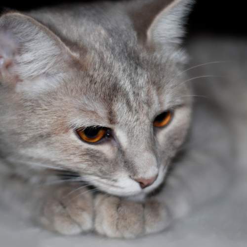 Photo #6173542