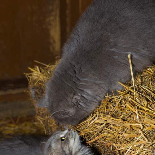 Photo #6173553