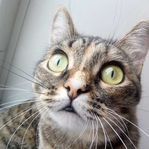 Photo #6173743