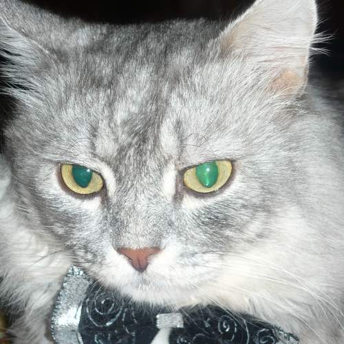 Photo #6173744
