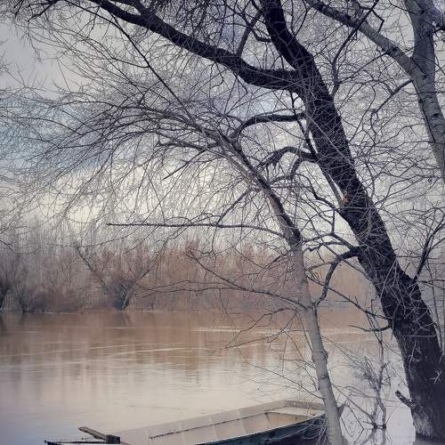 Photo #6174318