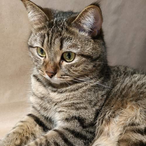 Photo #6174769