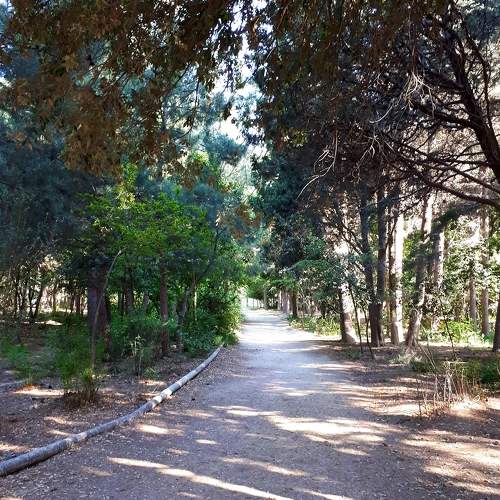 Photo #6175309