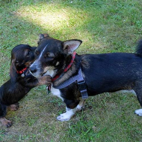 Photo #6175737