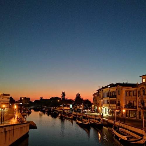 Photo #6175771
