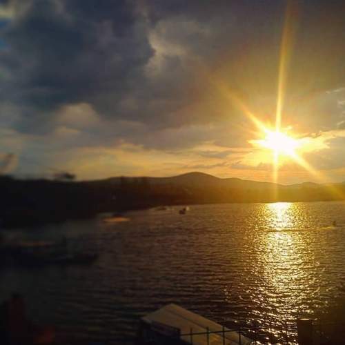 Photo #6175780
