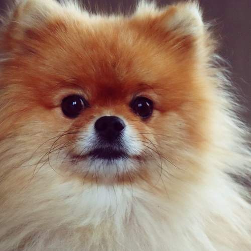 Photo #6176280