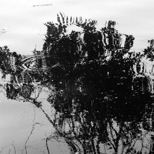Photo #6176342