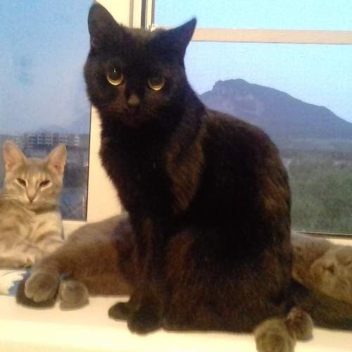 Photo #6176351