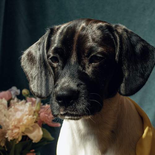 Photo #6176921