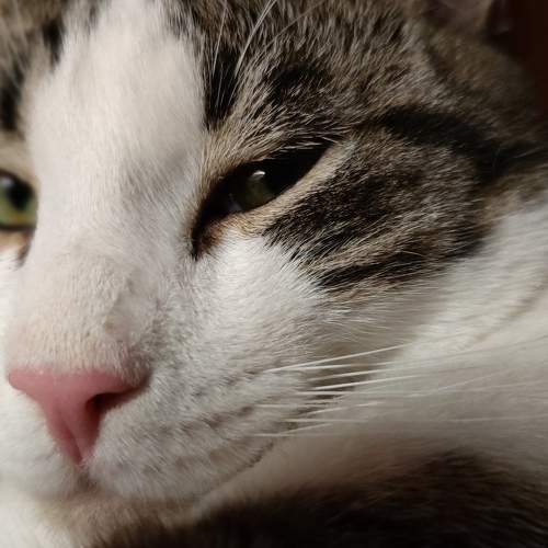 Photo #6177164