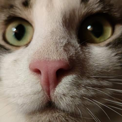 Photo #6177168