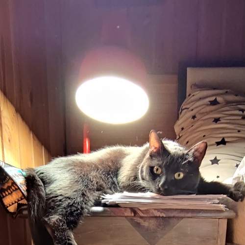 Photo #6177184
