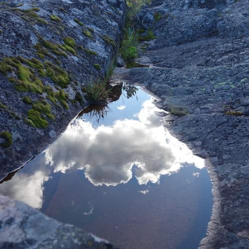 Photo #6177187