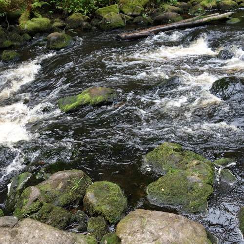 Photo #6177192