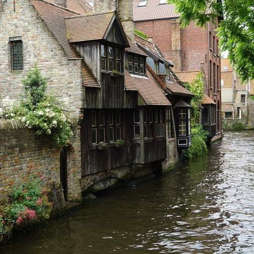 Photo #6177197