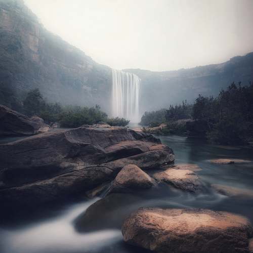 Photo #6177286