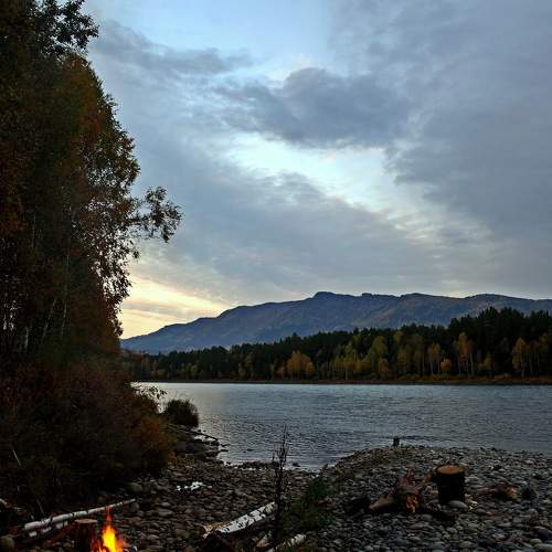 Photo #6177341
