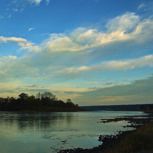 Photo #6177346