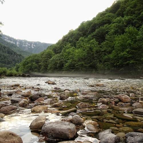 Photo #6177407