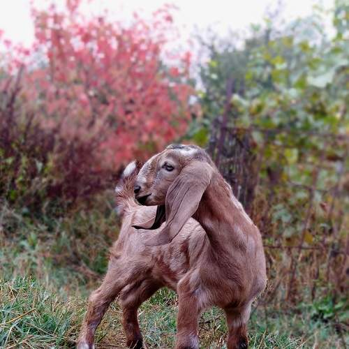 Photo #6177712