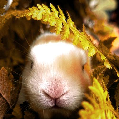 Photo #6177797
