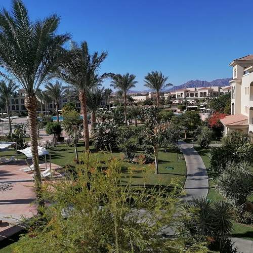 Photo #6177798