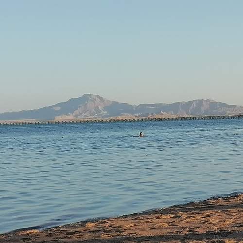 Photo #6177809