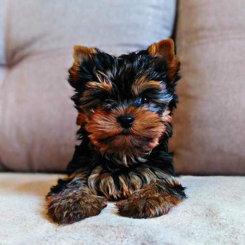 Photo #6177824