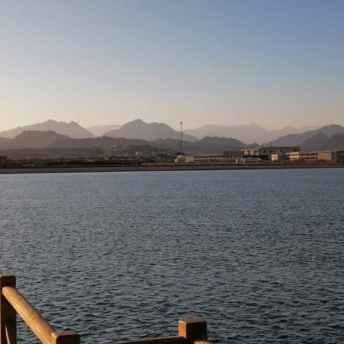 Photo #6177838