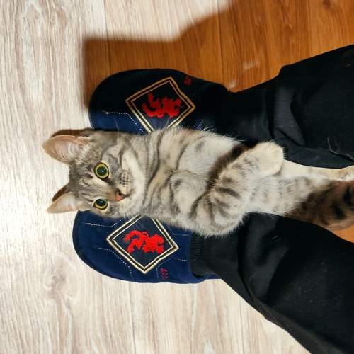 Photo #6177996