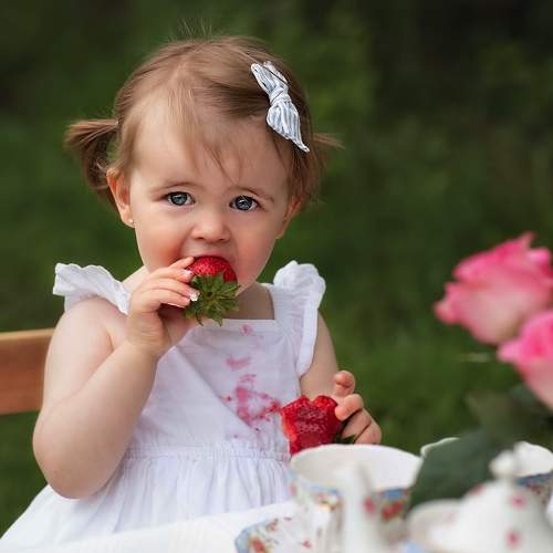 Photo #6177997
