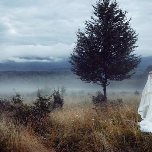 Photo #6178061