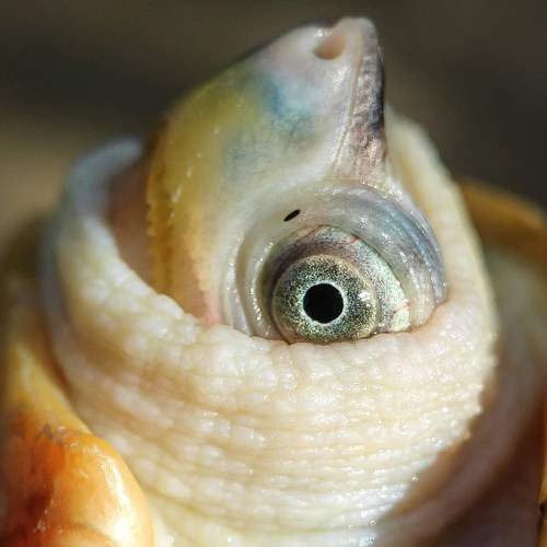 Photo #6178228