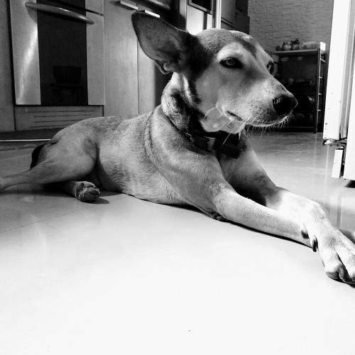 Photo #6178352