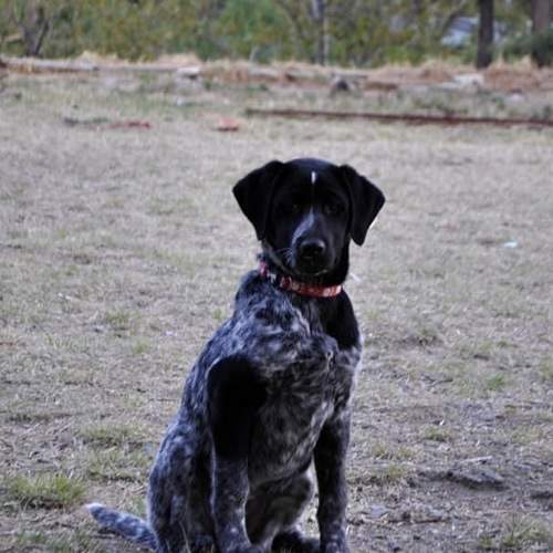 Photo #6178523