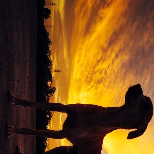 Photo #6178616