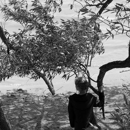 Photo #6178635