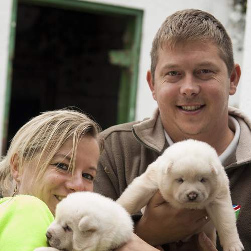 Photo #6178689