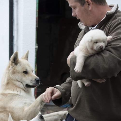 Photo #6178693