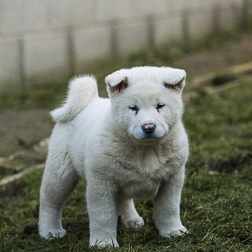 Photo #6178736