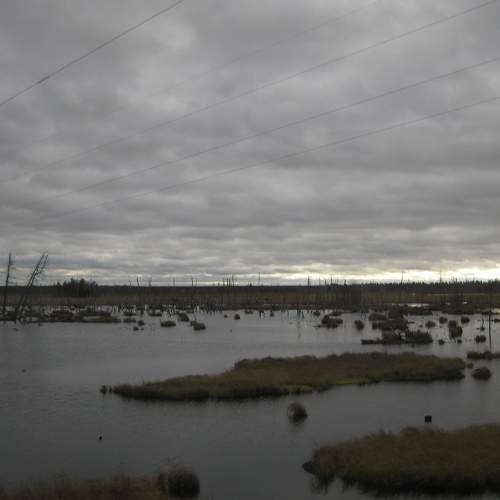 Photo #6179252