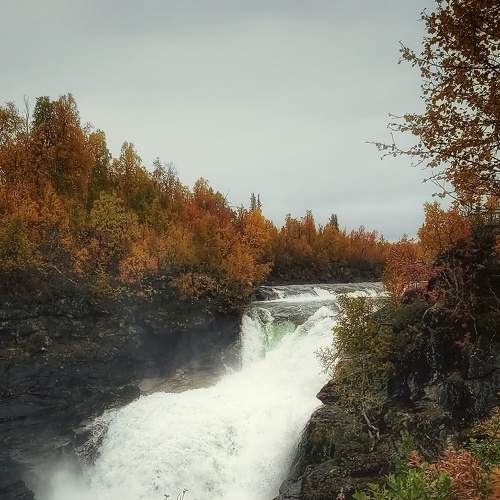 Photo #6179464